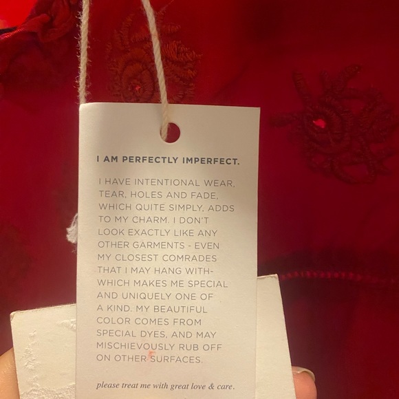 The GREAT Moonlight Embroidered Silk Dress - Picture 8 of 15